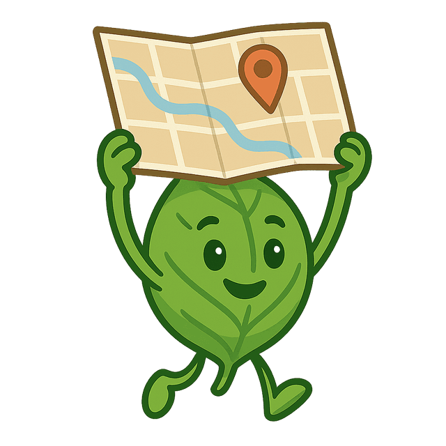 Step-by-Step Guidance