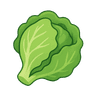 lettuce